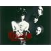 The Doors Box Set