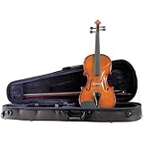 Palatino VN-450 Allegro Violin Outfit, 4/4 Size