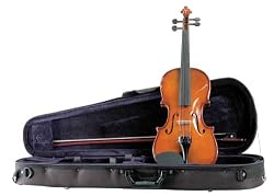 Palatino Allegro Violin Outfit 4/4 Size, with featherweigt case, Ebony Frog Bow, and Ebony Fittings