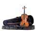 Palatino Allegro Violin Outfit 1/4 Size, with featherweigt case, Ebony Frog Bow, and Ebony Fittings