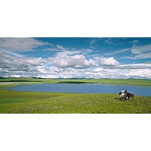 Le Dernier loup [Blu-ray]