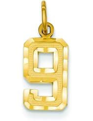 14K Gold Small Number 9 Charm Pendant FindingKing