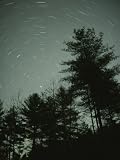 Star Streaks over the Nantahala National Forest Photographic Poster Print by Stephen Alvarez, 30x40