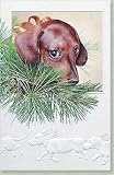 Dachshund Boxed Holiday Cards