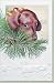   - Dachshund Boxed Holiday Cards