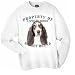 Basset Hound TRI Property Of Adult Sweatshirt