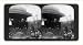 Historic Print (L): President [Theodore] Roosevelt making one of his characteristic t...