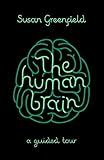 The human brain