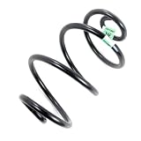 06-11 CADILLAC DTS BUICK LUCERNE REAR SUSPENSION COIL SPRING 25910861 8AF 9AF by GM