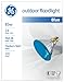 GE 13465 100-Watt Outdoor PAR38 Incandescent Light Bulb, Blue