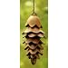 Pinecone Wind Chime - Large