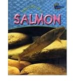 The life of a salmon