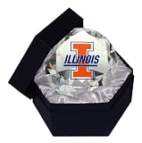 Illinois Fighting Illini Crystal Desk Paperweight