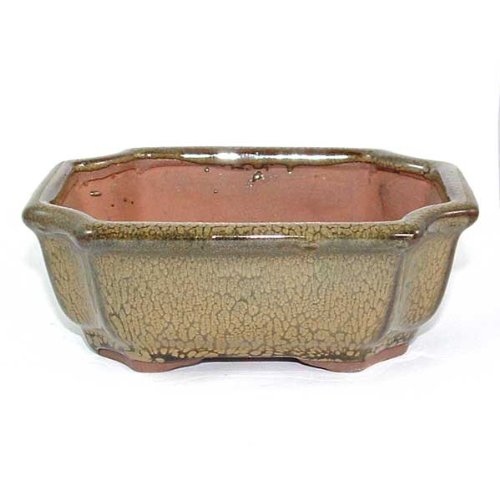 13cm Olive Coloured Glazed Bonsai Pot