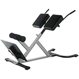 Cap Barbell Xodus Roman Chair (45 Degree)