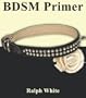 BDSM Primer