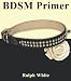 BDSM PRIMER