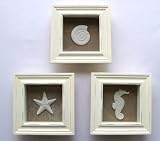 3 Sealife Shadow Boxes Seahorse Starfish Shell Seashell