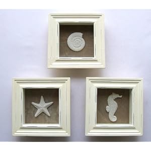 3 White Shabby Chic Framed Sealife Seashell Shadow Boxes