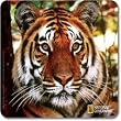 Handstands National Geographic Bengal Tiger Mousemat