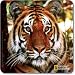 National Geographic Mouse mat - Tiger (Stripes)