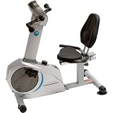 Stamina Elite Total Body Recumbent Bike