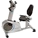 Stamina Elite Total Body Recumbent Bike