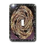 Cindy Thorrington Haggerty Healing Orbs - Energy - Light Switch Covers - single toggle switch