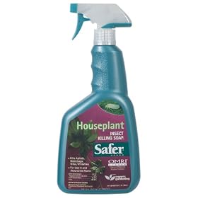 Safer Brand 5002 Houseplant Insect Killing Soap Ready-to-Use 24 Ounces
