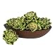 5" Artichokes (Set of 6)