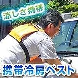 携帯冷房ベスト　カーナピュア　CPD2-ORの画像