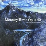 Opus 40