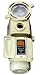 Pentair 011012 IntelliFlo VF High Performance 230-Volt 16-Amp Pool Pump, Almond