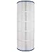 Unicel C-8420 Replacement Filter Cartridge for 200 Square Foot Hayward C1900RE, Waterway Pro Clean 200