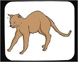 image link - - B000RLNZ8Q
