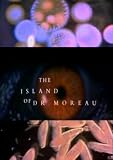 The Island Of Dr. Moreau