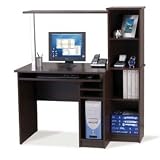 Computer Work Station