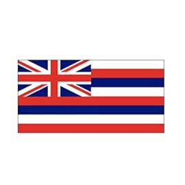 Hawaii 8ft x 12ft Nylon Flag