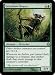Magic: the Gathering - Greatbow Doyen - Morningtide