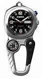 Miniclip Compass Silver