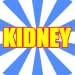 Kidney and Bladder Problems