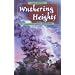 Wuthering Heights (Adapted by Shirley Isherwood) (High-Fliers)
