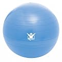 Gaiam The Biggest Loser Stability Ball - Blue