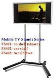 FS401 Retail Display Stand for 22