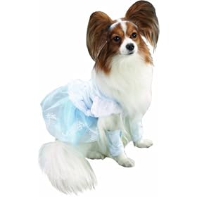 Cinderella Halloween Pet Costume