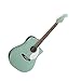 Fender Acoustics Sonoran SCE Custom SFG