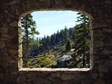 Wallpaper Blonder the Ultimate Mural Book Stone Forest UMB91024