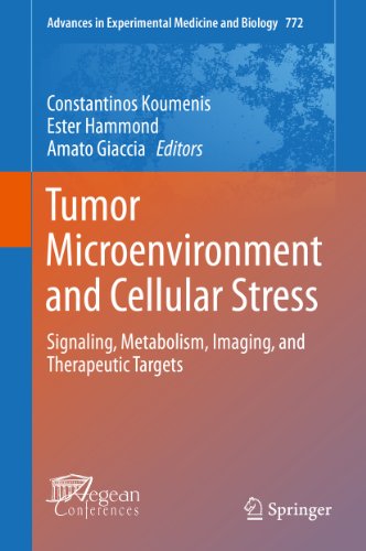 Tumor Microenvironment and Cellular Stress: Signaling, Metabolism, Imaging, and Therapeutic Targets: 772 (Advances in Experimental Medicine and Biology)