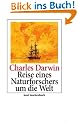 Reise eines Naturforschers um die Welt (insel taschenbuch)