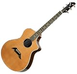 Breedlove Focus Custom
